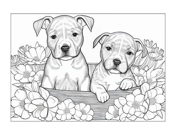 Aww aernt they cute pitbull puppies coloring page horizontal picture x instant download