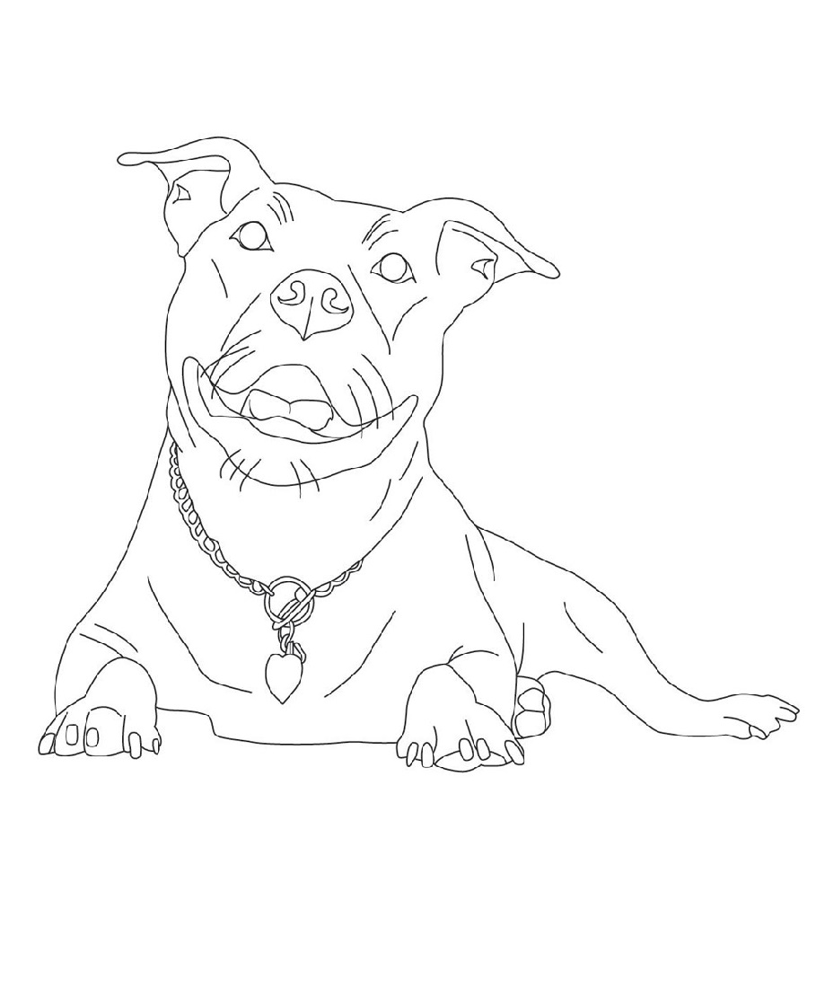 Pitbull coloring pages free printable pitbull colors coloring pages pitbulls