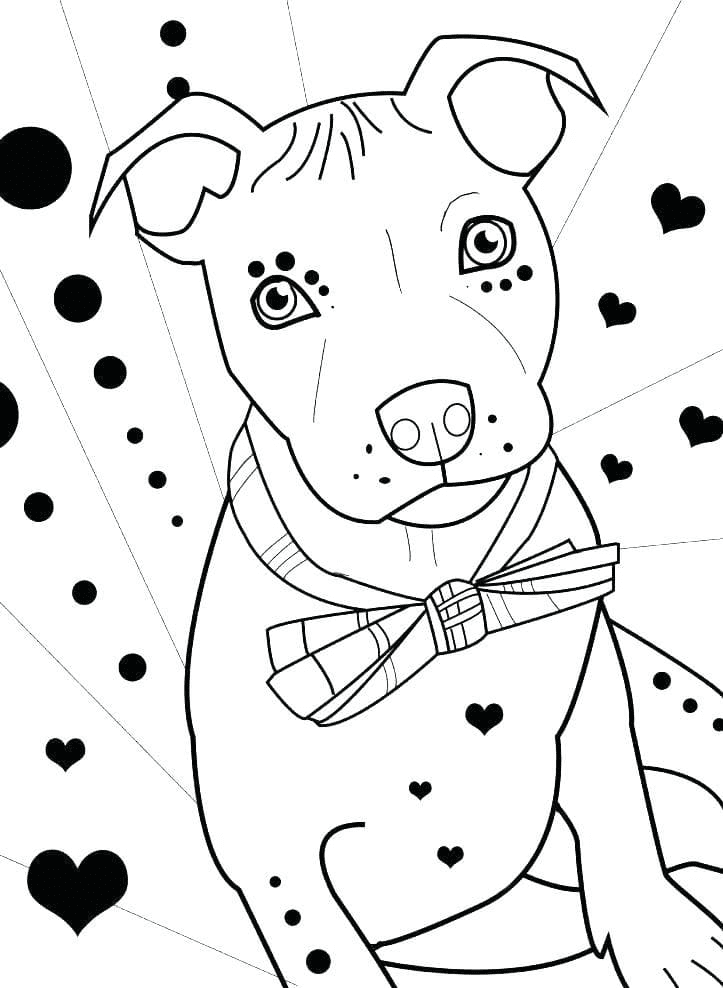 Pitbull coloring pages printable for free download