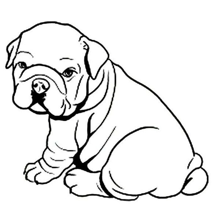 Pitbull coloring pages pdf