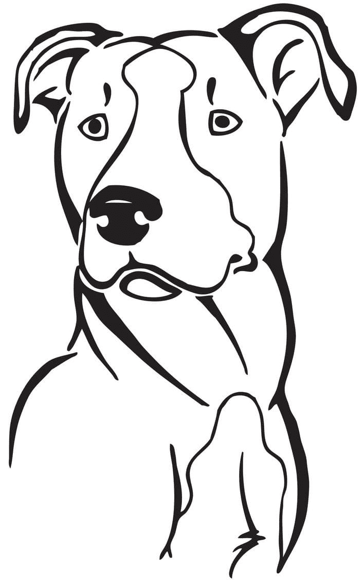 Pitbull coloring pages printable for free download