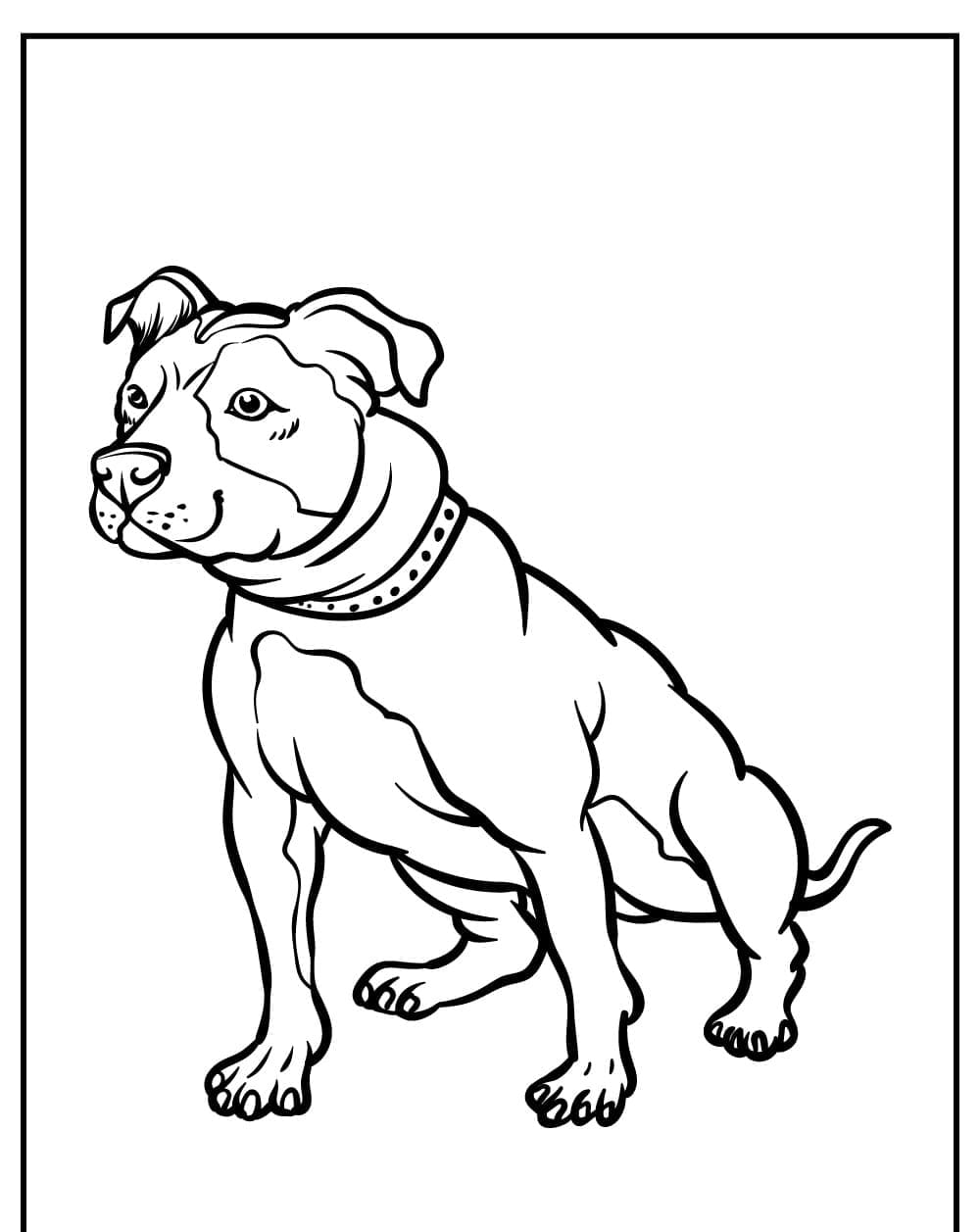 Sitting pitbull coloring page