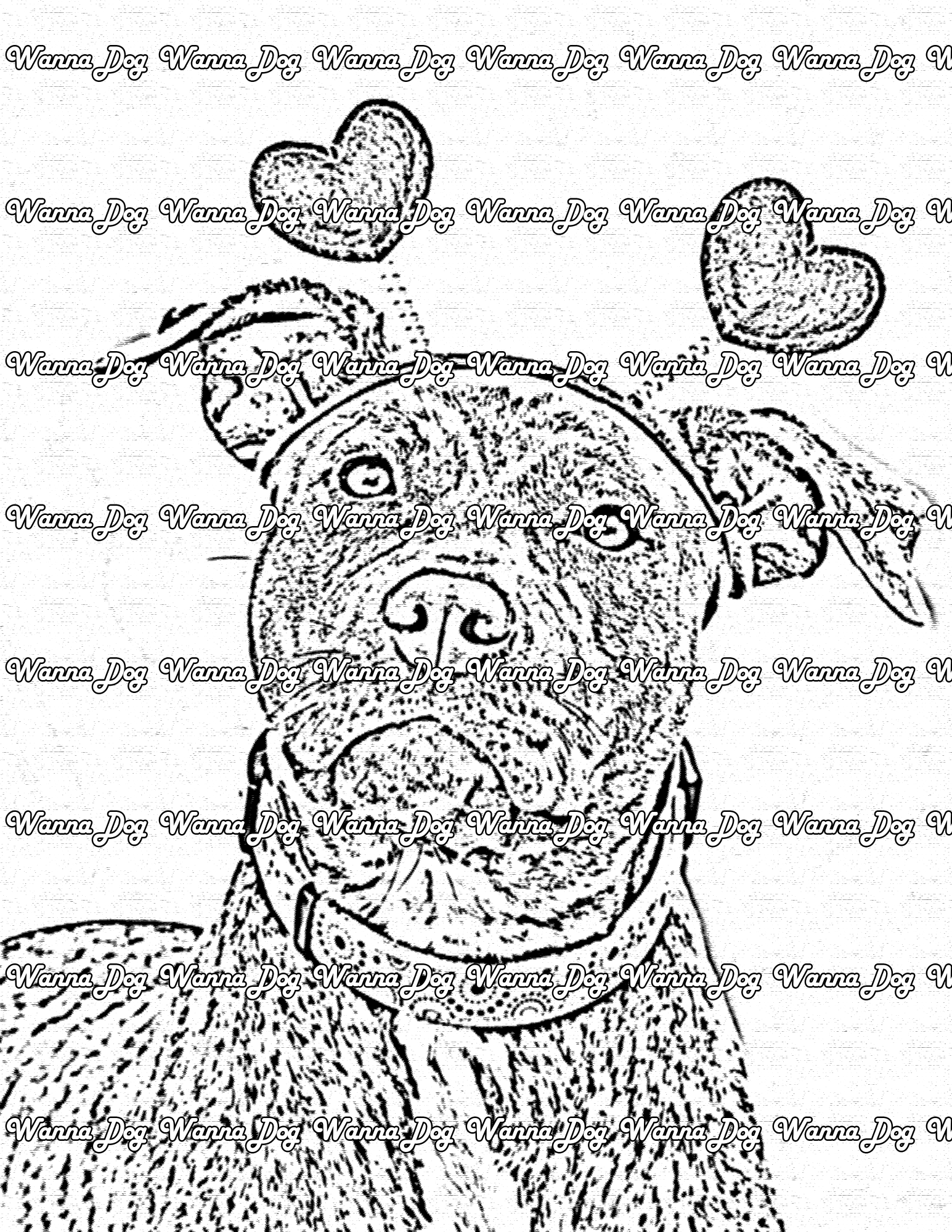 Pitbull coloring pages â wanna dog