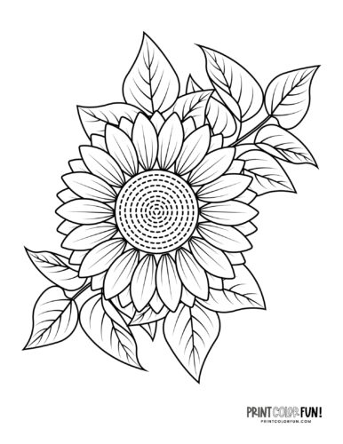 Flower coloring pages clipart to color a whole garden at