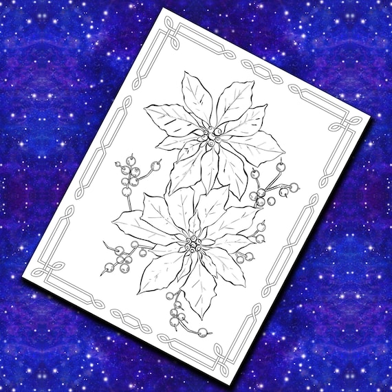 Celtic poinsettia coloring page