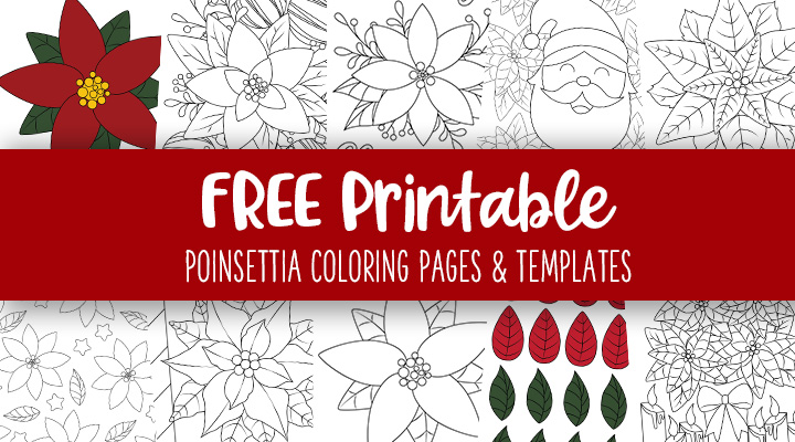 Poinsettia coloring pages templates