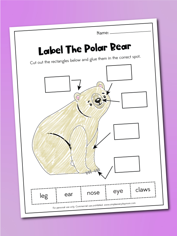 Free printable polar bear worksheets for kids