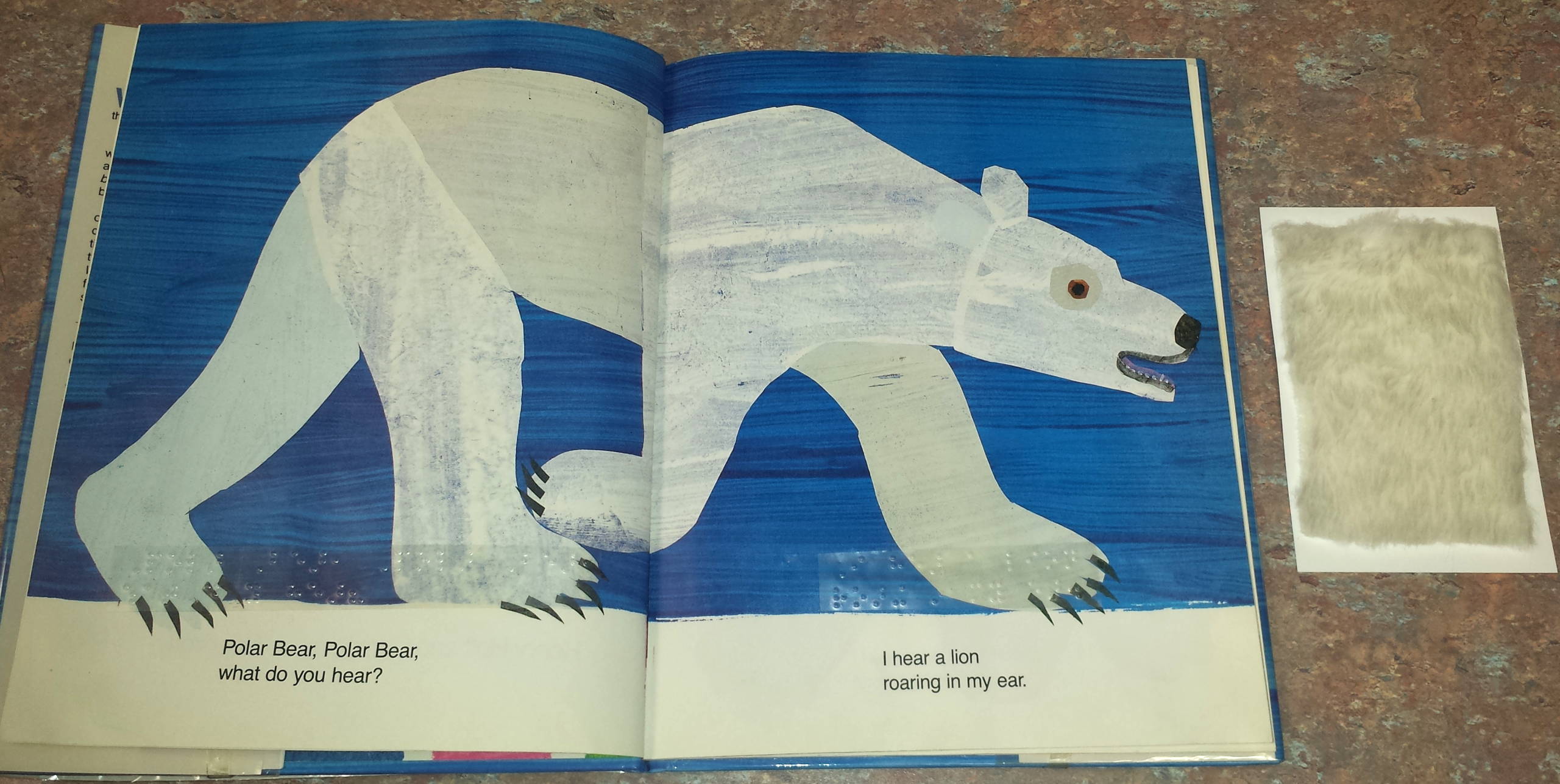 Adapting polar bear book for children with visual impairments â paths to literacy