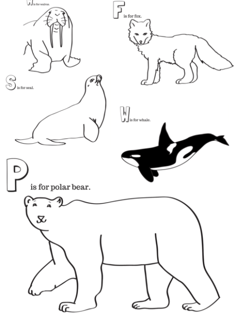 Arctic animals printable coloring pages â miniature masterminds