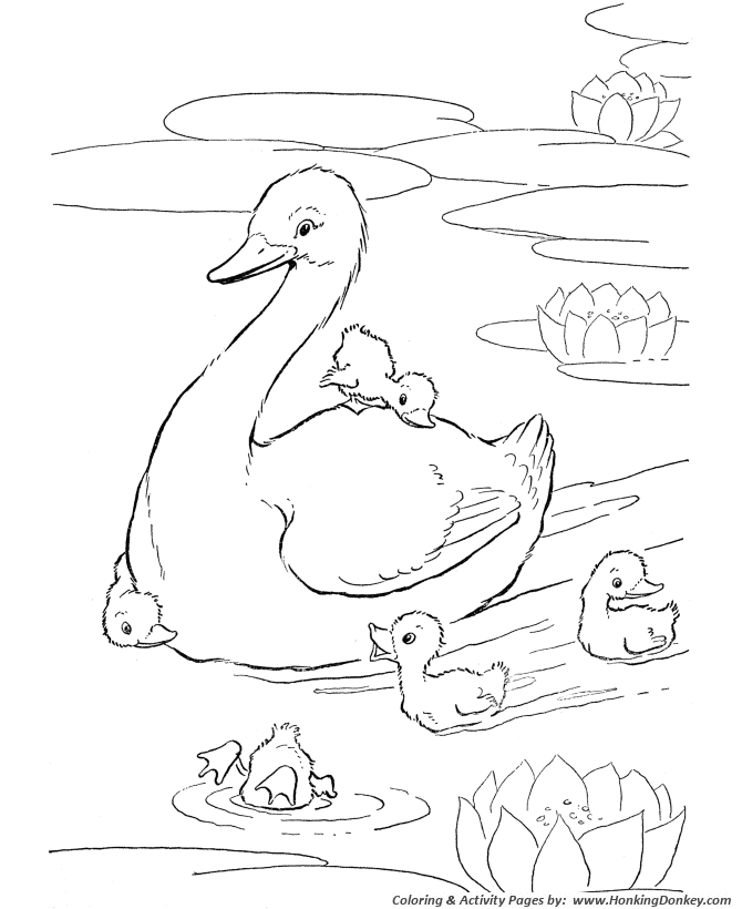 Farm animal coloring pages printable ducks in the pond coloring page and kids activity sheet