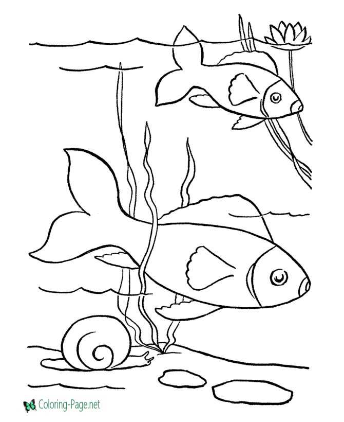 Fish coloring pages