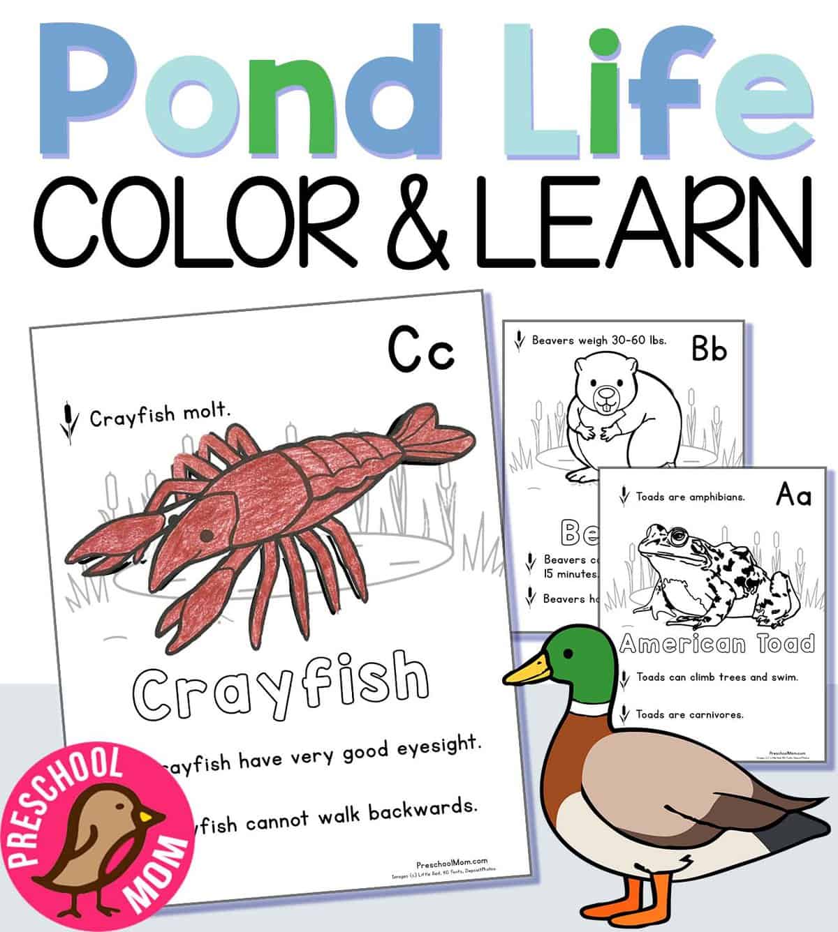 Pond animal coloring pages