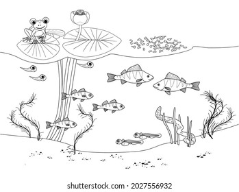 Coloring page underwater pond landscape perches stock vector royalty free