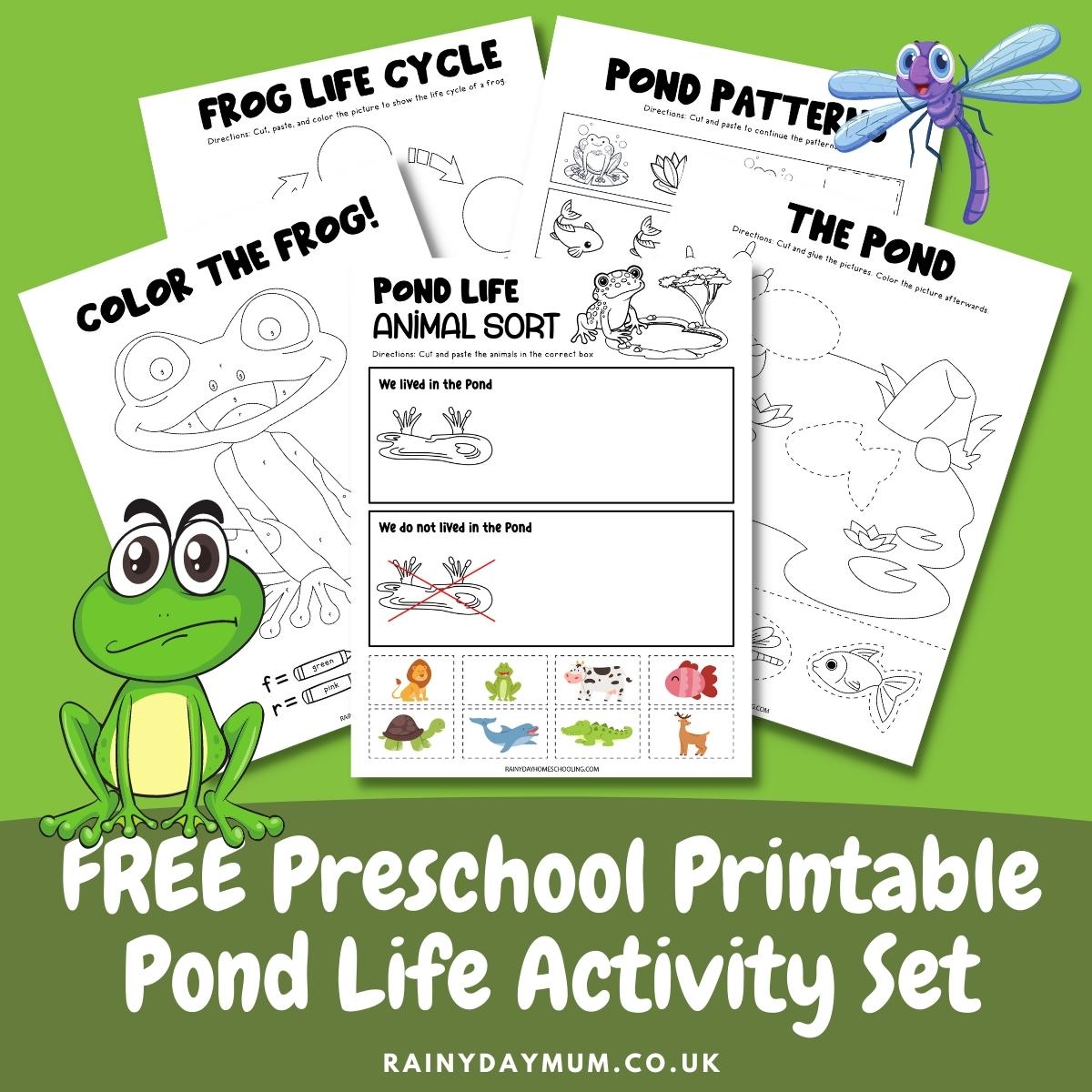 Free printable preschool pond life activity pack