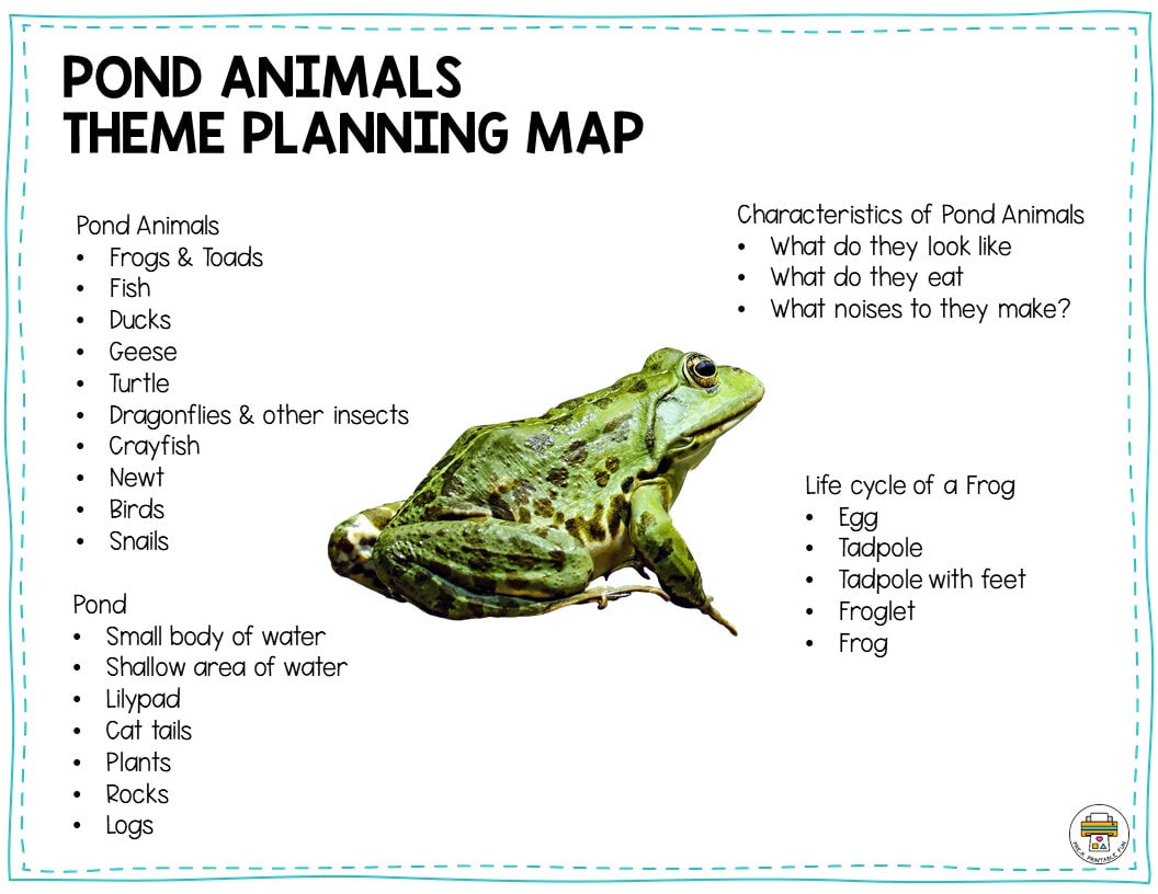 Pond animals preschool activities