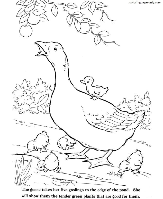 Farm animal coloring pages printable for free download