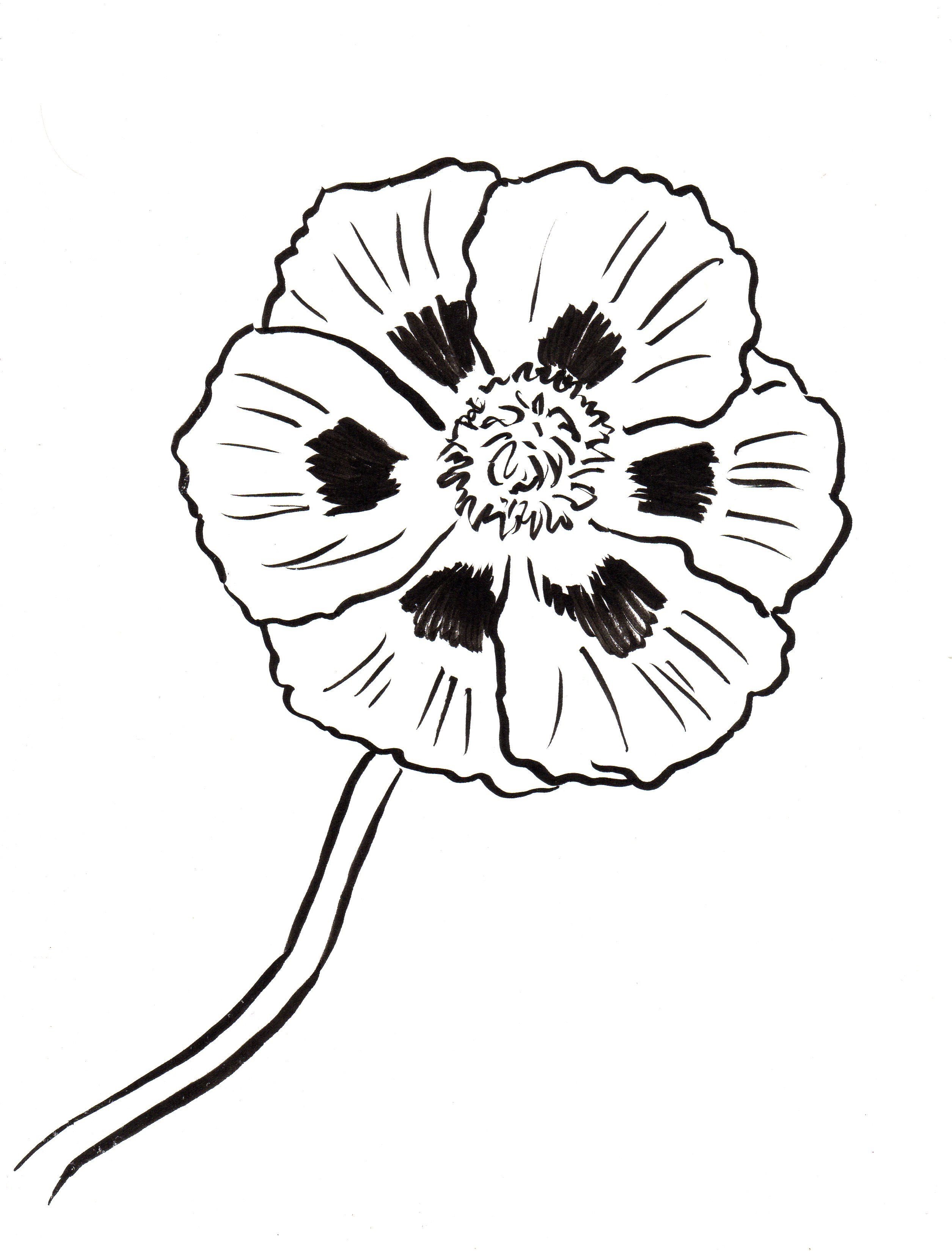 Poppy coloring page