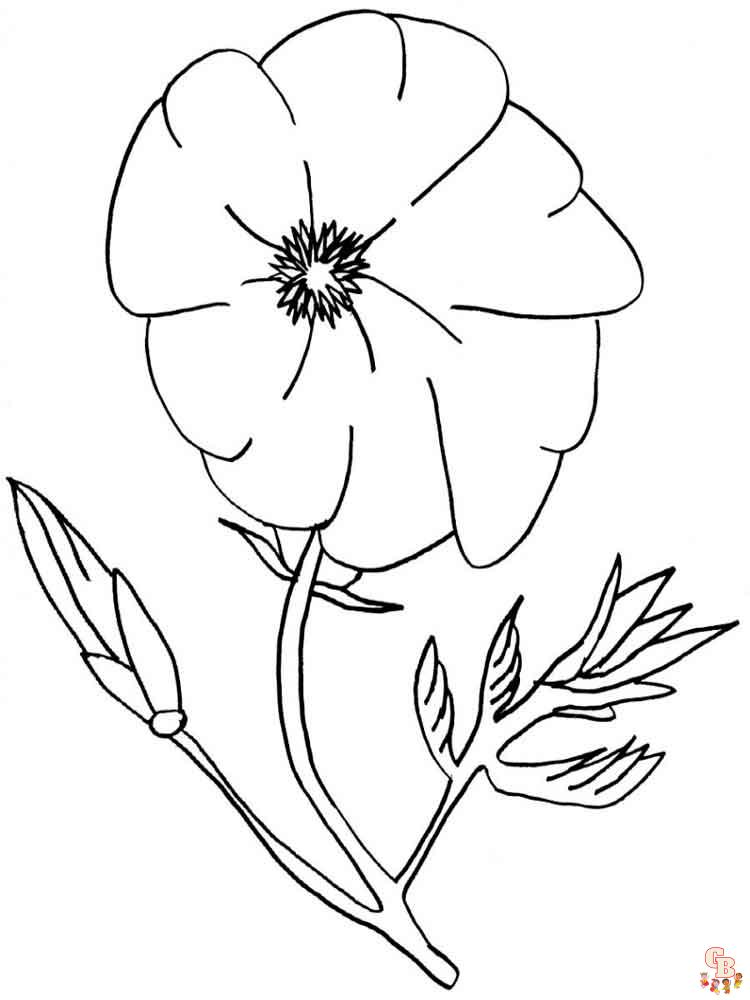 Poppies coloring pages printable free and easy options for kids