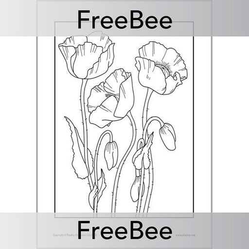 Free poppies colouring pages by