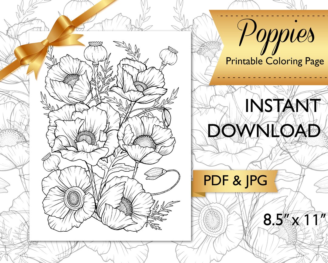 Printable adult coloring page flower coloring page for adults poppies coloring page pdf coloring at home meditative coloring digital