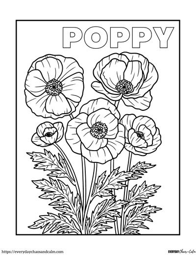 Free realistic flower coloring pages for all ages