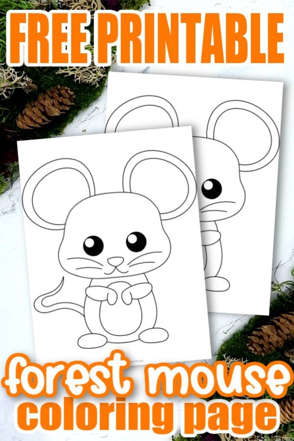 Free printable forest mouse coloring page for kids â simple mom project