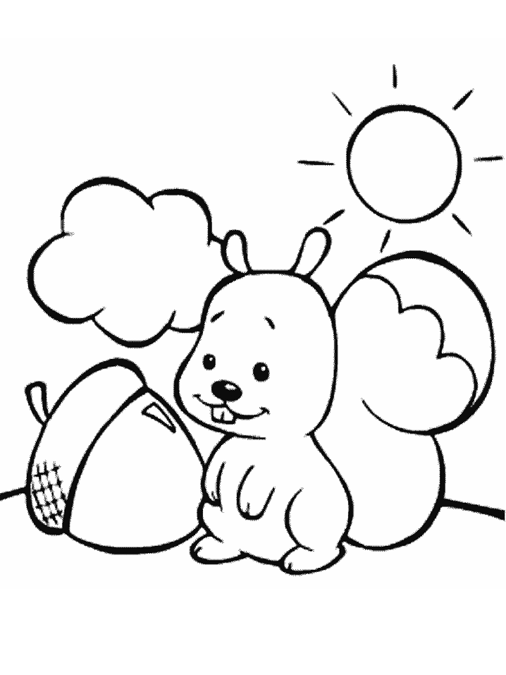 Acorn coloring pages