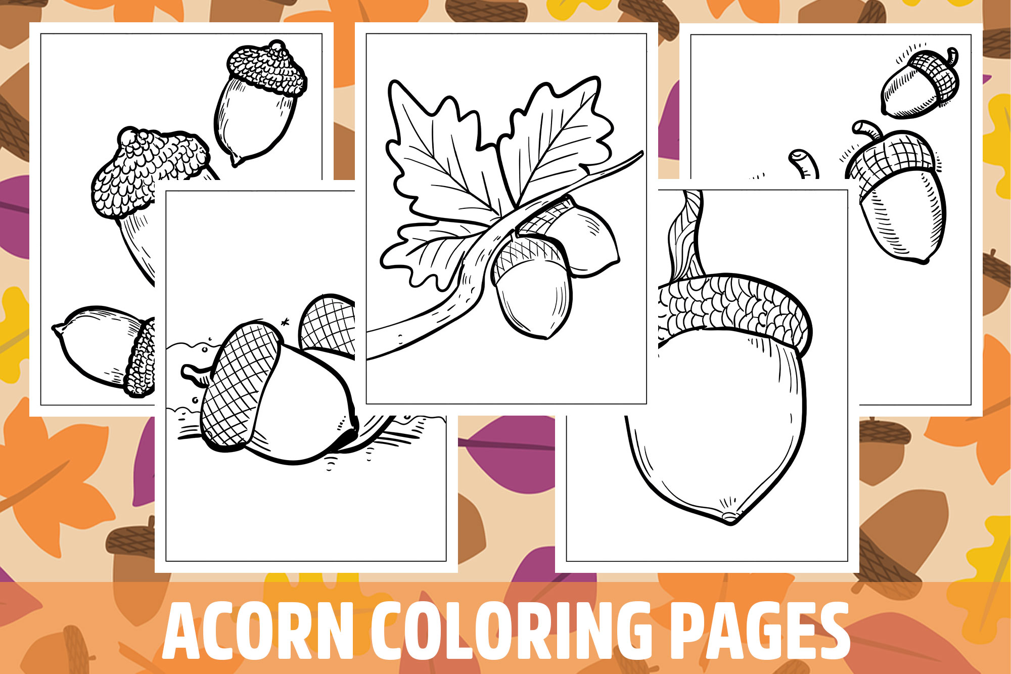 Acorn coloring pages for kids girls boys teens birthday school activity made by teachers