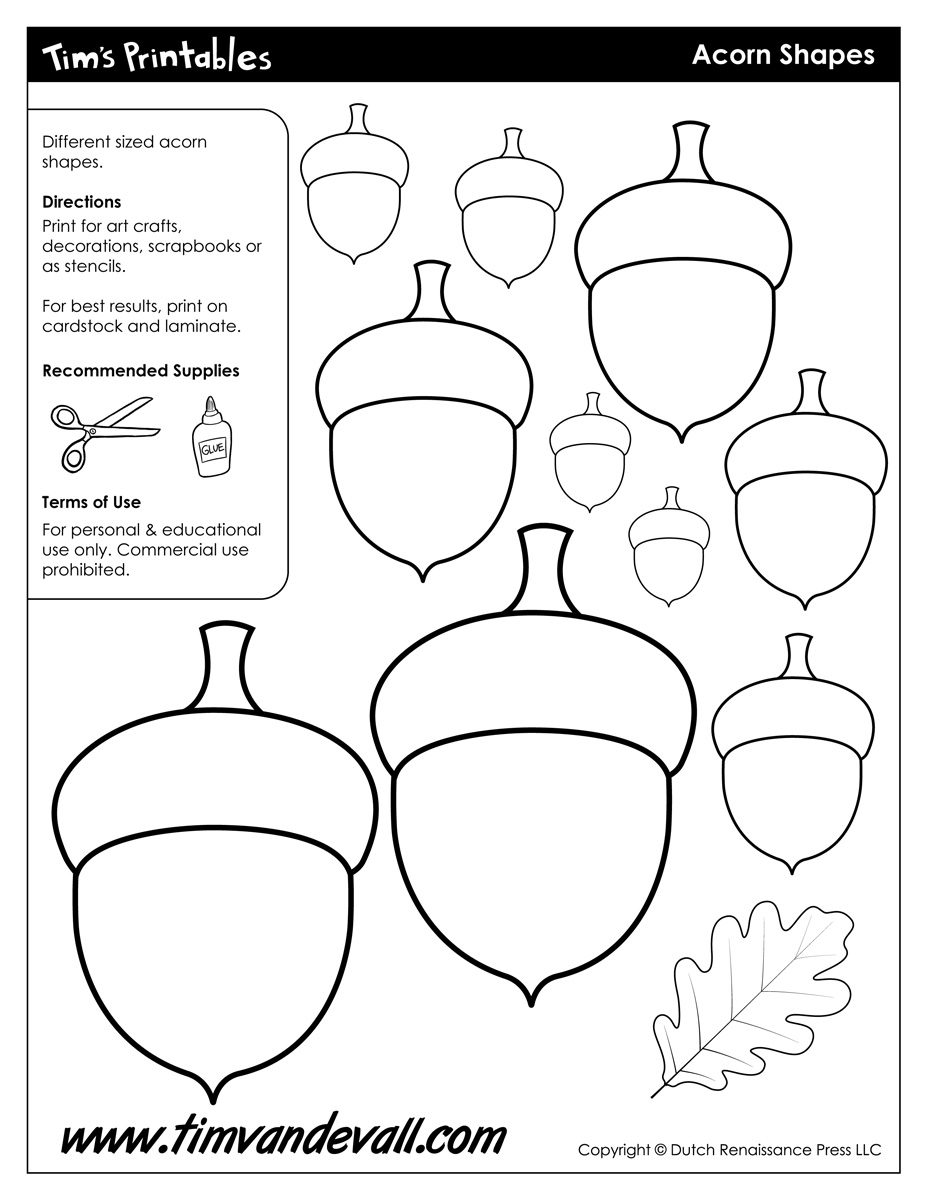 Acorn templates â tims printables