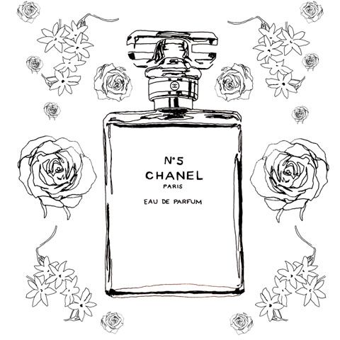 Chanel no sketch coloring page chanel illustration chanel no chanel art