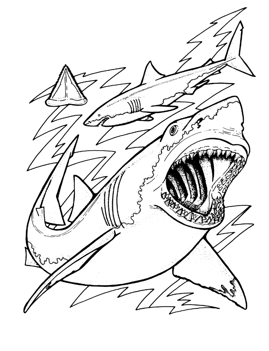 Free printable shark coloring pages for kids