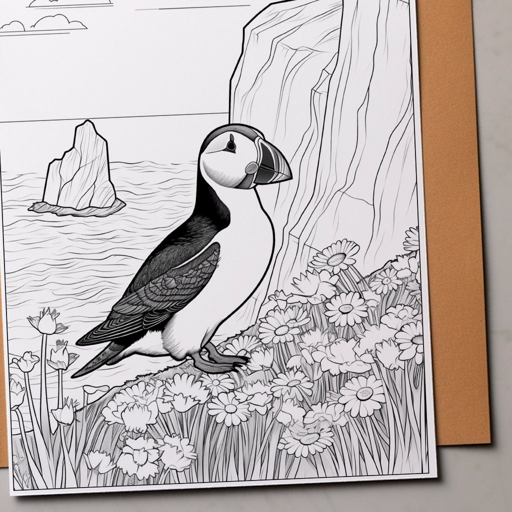 Puffin bird printable colouring page digital download