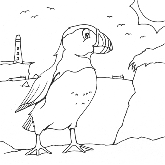 Puffin colouring