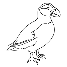 Top puffin coloring pages for toddlers