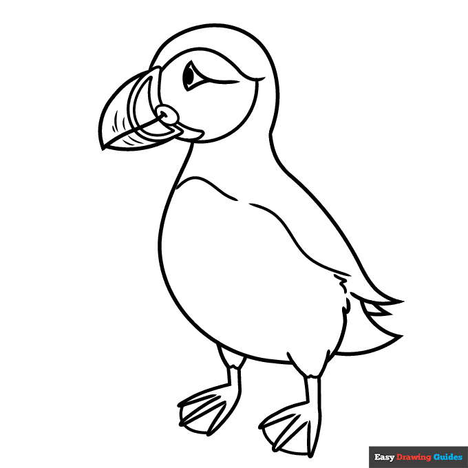 Puffin coloring page easy drawing guides