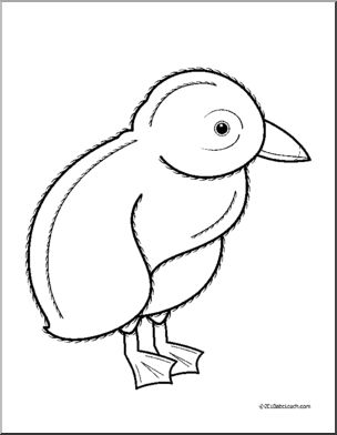 Clip art baby animals puffin chick coloring page i