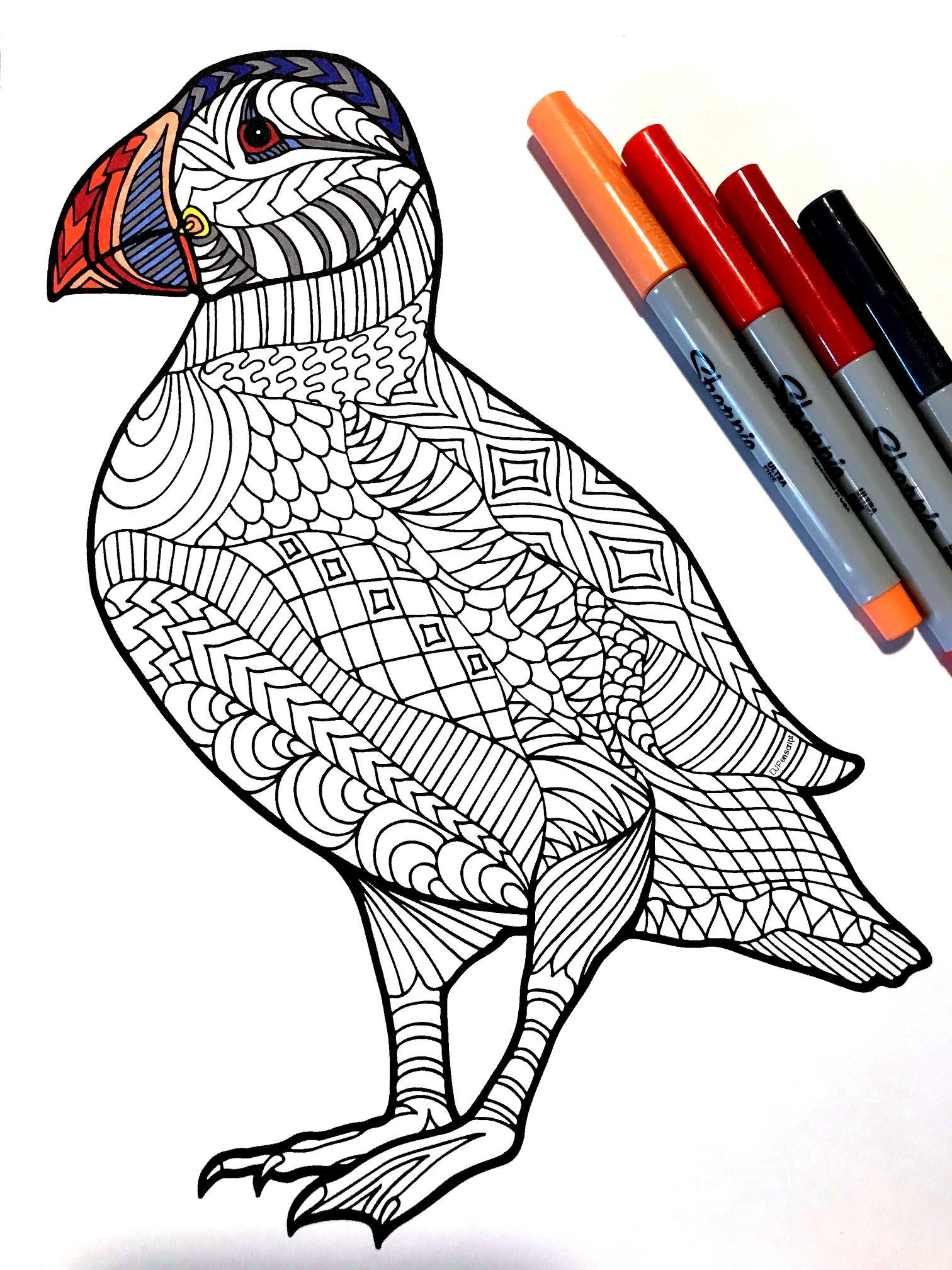 Puffin â pdf zentangle coloring page â scribble stitch