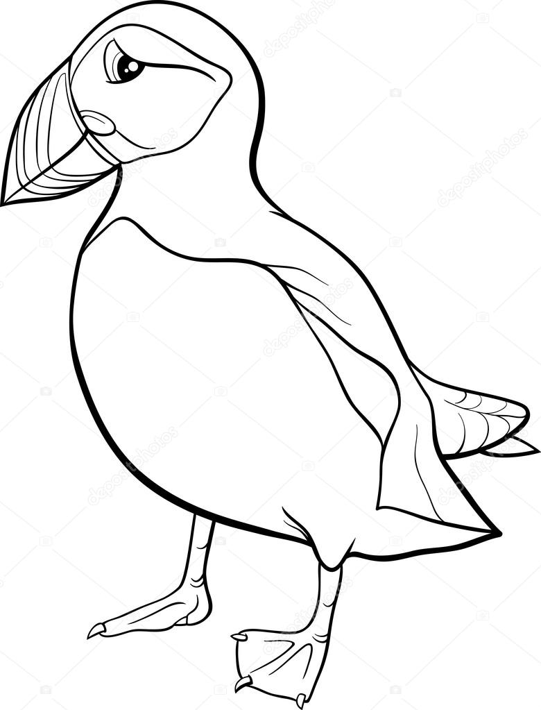 Puffin cartoon coloring page stock vector by izakowski