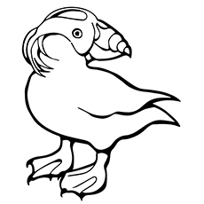 Top puffin coloring pages for toddlers