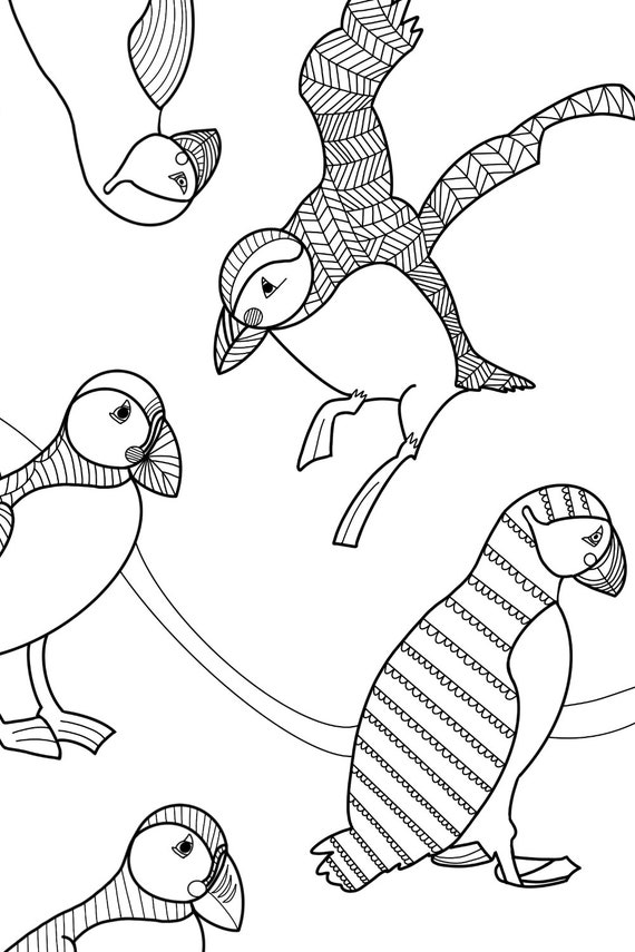 Puffins coloring sheet coloring page birds doodle iceland gift idea home activity for kids printable instant download