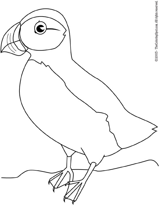 Puffin coloring page audio stories for kids free coloring pages colouring printables