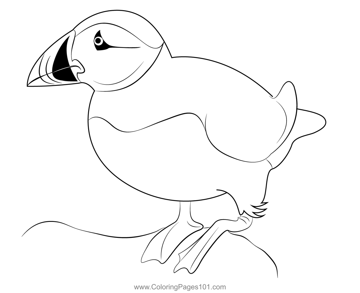 Cute atlantic puffin coloring page for kids