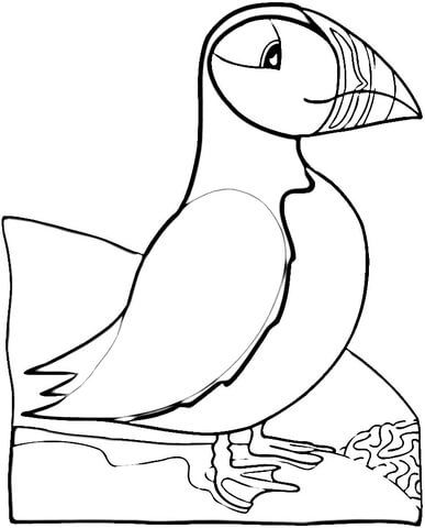 Bird puffin coloring page bird coloring pages coloring pages bird embroidery pattern