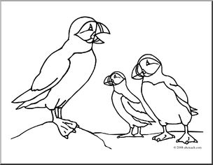 Clip art puffins coloring page i