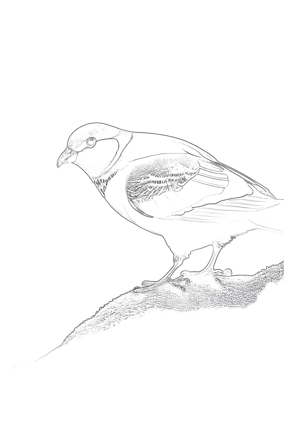 Yellow bird in forest coloring page