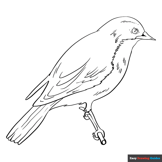 Free printable bird coloring pages for kids