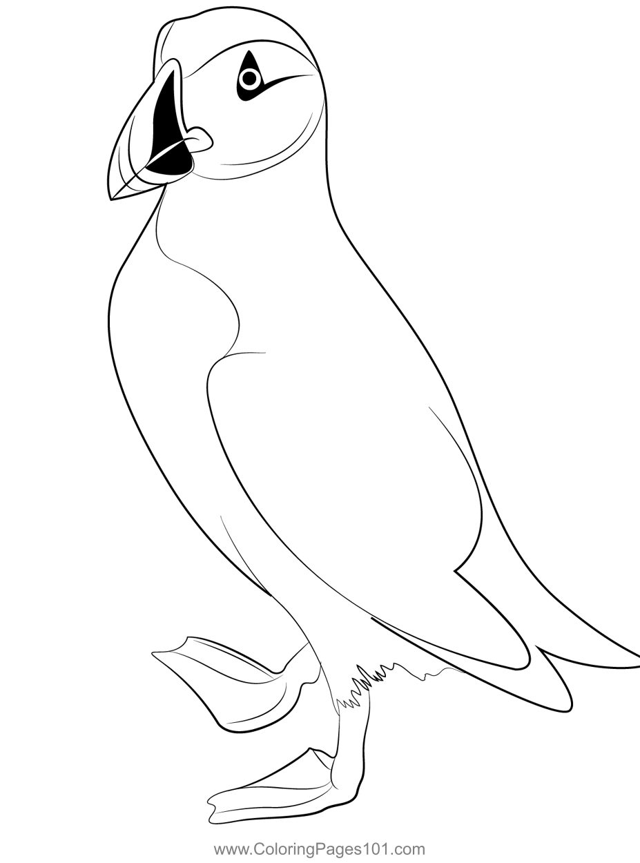 Arctic puffin bird coloring page for kids