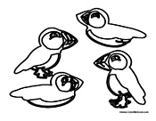 Puffin coloring pages