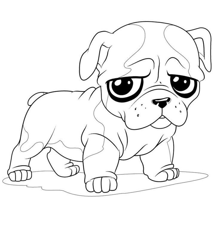 Pug coloring pages printable for free download