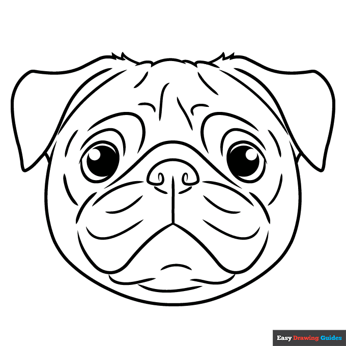 Pug face coloring page easy drawing guides